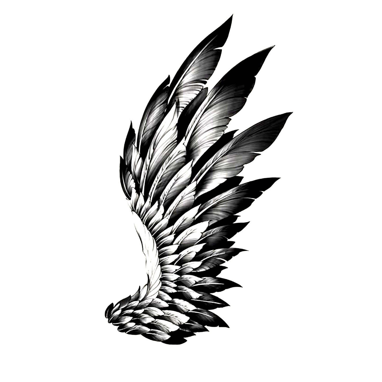 Wing Of Thunder