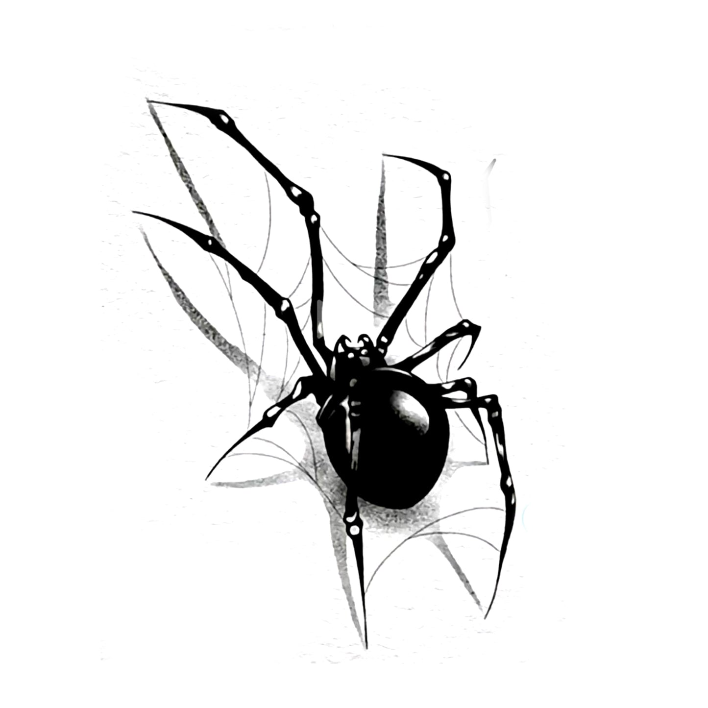 Shadow Spider