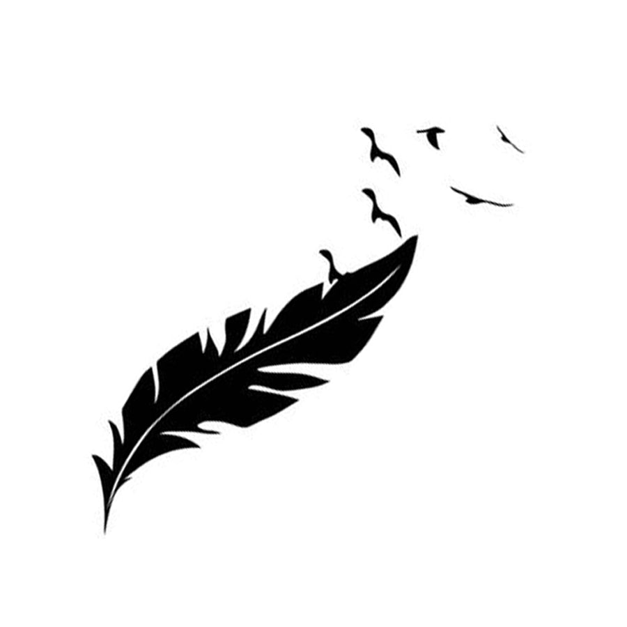 Birds & Feather