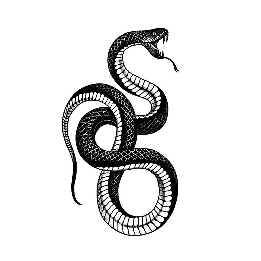 Coiled Python