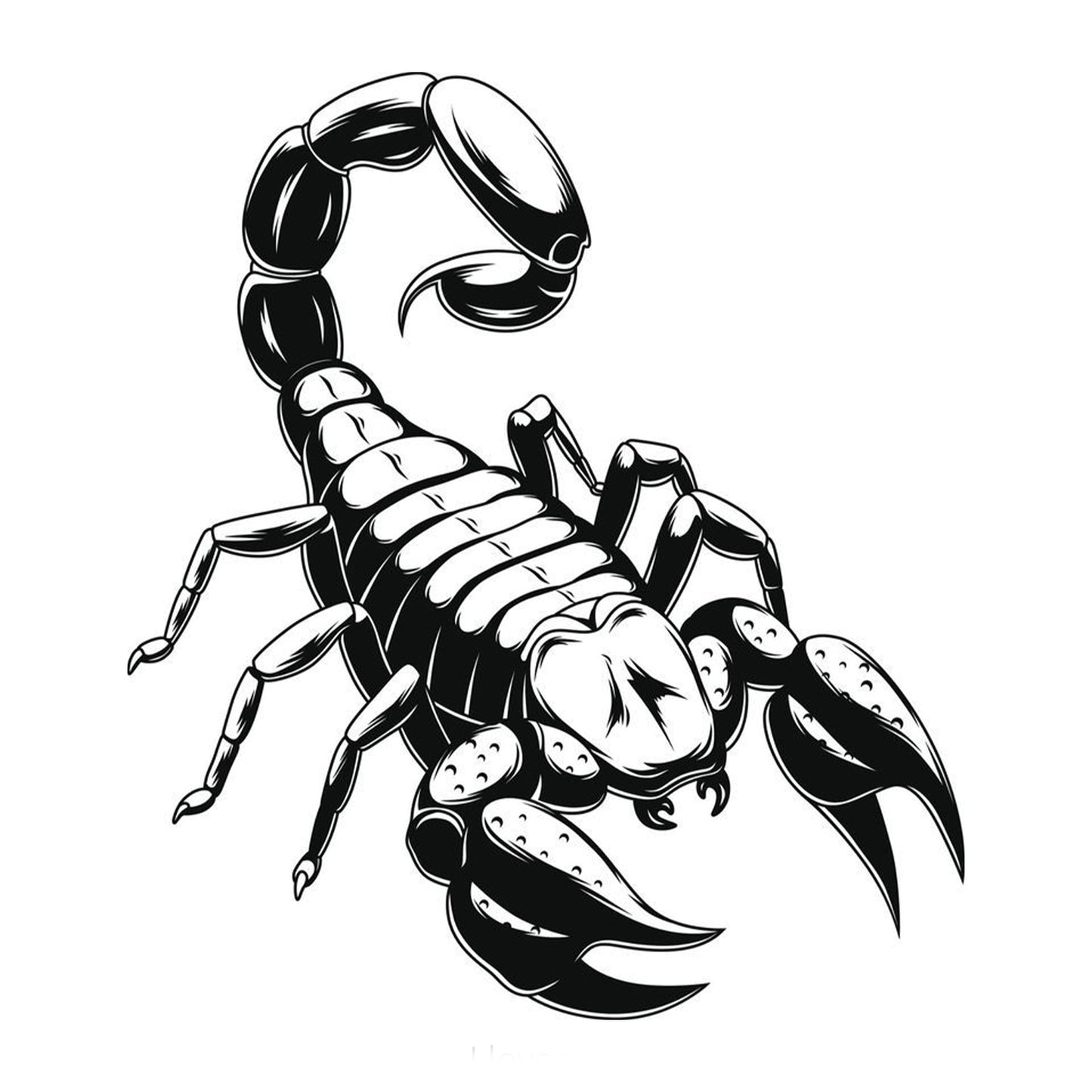 The Sting | Scorpio