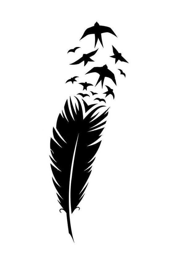 Solid Feather | Birds