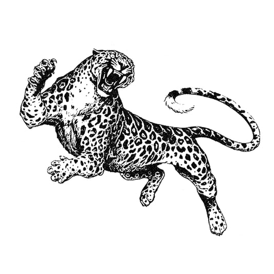 Leapord Leap