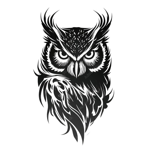 Black Stare | Owl